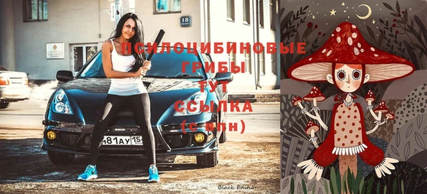 синтетический гашиш Горнозаводск
