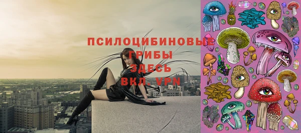 синтетический гашиш Горнозаводск