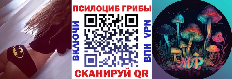 Купить закладки  Ковылкино  Галлюциногенные грибы Psilocybine cubensis 