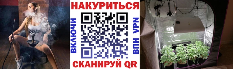 Купить  Ковылкино  Канабис план 